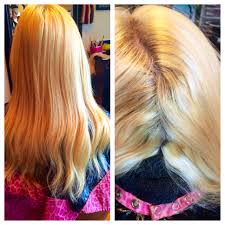You have not read the instructions properly. Bad Bleach Job To Hair Photo Hair Creations Long Hair Styles