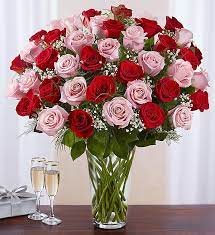 Maybe you would like to learn more about one of these? Ultimate Elegance Long Stem Pink Red Roses 1800flowers 100276