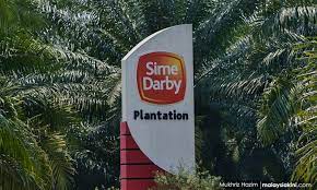 Is an integrated plantation company, which engages in entire span of palm oil value chain, from upstream to downstream activities, research and development, renewables and agribusiness. Malaysiakini Sime Darby Plantation Voices Concerns Over Possible Us Oil Palm Ban