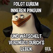Dein profilbild wird deinen kontakten in der übersicht und im chat angezeigt. Lustige Bilder Whatsapp Profilbild Lustige Bilder Whatsapp Profilbild Lustige Bilder Whatsapp Pr Whatsapp Profilbilder Profilbilder Lustige Bilder Fur Whatsapp