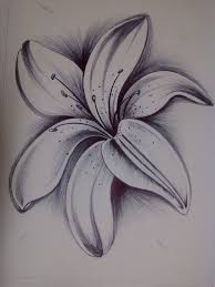 Pin By Monica Crea On Designs Stencils Templates Ideas Pencil Drawings Of Flowers Lilies Drawing Flower Drawing