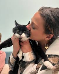 This year, I'm just thankful for getting 12 years to love you, Buddy. You  were the coolest childhood cat, and the only one I've ever known with a  goatee… This goodbye felt