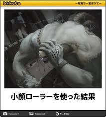 小顔ローラーを使った結果 ペットへのボケ 14511097 ボケて bokete 爆笑画像 笑いが止まらない 面白い写真