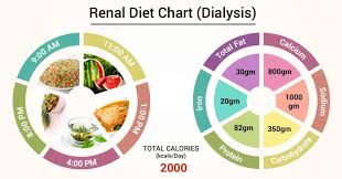 Diet Chart For Renal Dialysis Patient Renal Diet