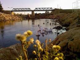 Son dakika nusaybin haberleri ve en sıcak haber akışı burada! Nusaybin Bir Sevdadir Home Facebook