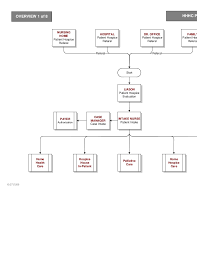 Sample Health Care Process Map