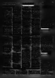 ТЕЛЕНЕДЕЛЯ