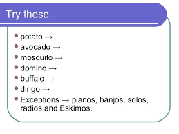 Plural Rules