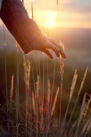 Light Hand Touch And Sunset By Nacho Zaitsev 500px Sunlight Photography Hand Photography Aesthetic Photography