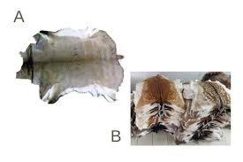 I have used them hair on to make pillows for the couch, it adds a very nice rustic touch. Best Deer Skin Rug To Buy Top Deer Hide Rugs Online