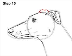 How To Draw A Dog Greyhound Dog Line Drawing Greyhound Sculpture Greyhound