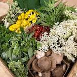 June Foraging Workshop