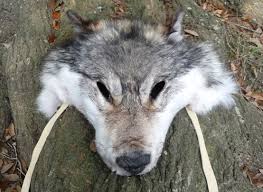 Pin On Real Wolf Headdress Or Mask