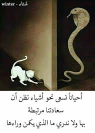 Pin By E Al On Beautiful All Words Quotes Movie Quotes Funny Arabic Quotes