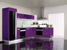 Kitchen Modern Kitchen Design With Black Floor Purple Kitchens Purple Kitchen Decor