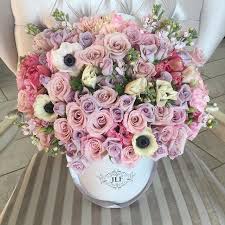 Pin De Julia Sanches Em Florindo Flores