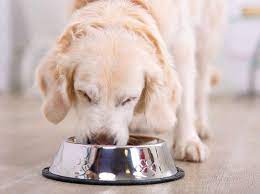Dog Food Recalled Due To Salmonella Listeria Concerns In 2021 Dog Food Recipes Dog Food Recall Raw Dog Food Recipes