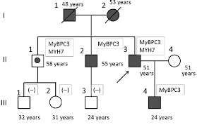 Additionally, your parents will come above you while their siblings will be drawn next to them, following the same pattern as of your siblings, called as your aunts and uncles. The Family Tree Circle Female Square Male Symbols In Gray Download Scientific Diagram