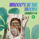 Whooo's in the Woods? An Exploration of Owls