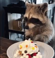 Hope this special day will be full of laugh and funny minds. Racoon Birthday Gifs Get The Best Gif On Giphy