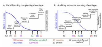 Vocal Learning Wikipedia