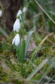 Im jahr 2022 ist dieser tag ein dienstag. Fruhling Wann Ist Fruhlingsanfang 2021 Welt Zeit Uhren Info