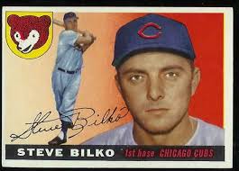 Cubs_an_appreciation