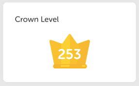 All it!/ allowing me to do is practice . Crown Duolingo Wiki Fandom