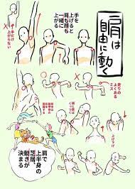 연성도움주는병아리 on twitter 항상 어깨는 어렵지 뺙 https t co u17byw5rcu art reference poses anatomy reference art reference