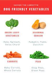 Dog Friendly Vegetables Raw Dog Food Diet Healthy Dog Food Recipes Sweet Potatoes For Dogs
