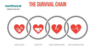 Cpr, first aid, bbp, and bls certification. The 7 Essential Steps Of Cpr
