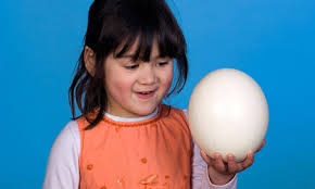 Image result for ostrich egg