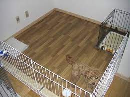 室内で犬を飼っている方に diyでサークル作り dogs