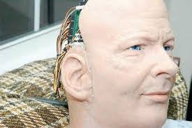 Peter Knoop's Instagram, Twitter & Facebook