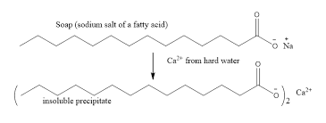 Image result for Fatty Acid