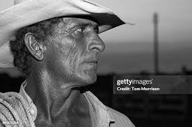 93 Morrison Ranch Stock Photos, High-Res Pictures, and Images