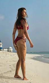 Disha Patani a perfect meal - Her thighs spicy and scrumptious then finish  off with that sweet juicy as*hole : rthighzone