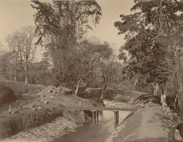 UNBINDING: A walkthrough of 4 Colonial Photographic archives on Kerala