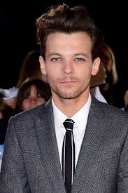 Louis Tomlinson: Harry wilde pauze One Direction