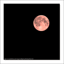 Cela fait non seulement apparaître la lune plus grande et plus lumineuse dans le ciel, mais cela augmente également sa. La Super Lune Rose Visible Dans Le Ciel Ce Mardi Soir 08 Flickr