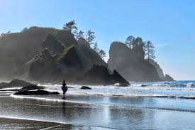 What can we do for you? Washington S 25 Best Beaches Seattle Met