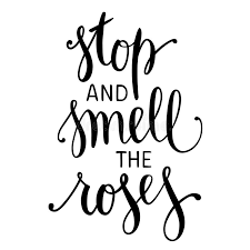 Stop And Smell The Roses Inspirational Quote Stock Vector Illustration Of Message Postcard 102803209