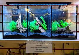 Below you can view and download the pdf manual for free. Pier Aquatics Betta Trio Tanks Back In Stock And Facebook