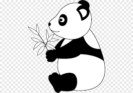 Jika selama ini kamu hanya tahu panda berwarna hitam dan putih saja, ternyata ada satu spesies panda asal tiongkok yang memiliki warna cokelat putih pada bulunya! Beruang Panda Raksasa Binatang Putih Mamalia Png Pngegg
