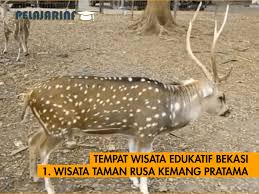 Taman hiburan kota bekasi jawa barat Tempat Wisata Edukatif Jabodetabek Part 2 Bekasi Pelajar Info