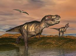 Translated from latin, tirranosaurus (latin tyrannosaurus) means tyrant lizard. Take A T Rex And A Chicken And You Ll See How Dinosaurs Shrank Survived And Evolved Into Birds