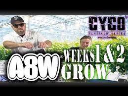 a8w cyco nutrients wks 1 2 grow feed chart how to se1 ep1 official video