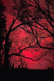 See more ideas about red aesthetic, aesthetic, red. Lostinveins Himmel Bilder Bilder Schwarze Fotografie