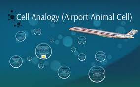 Cell analogy airport by joe behrmann and isaac thompson pdf. Cell Analogy Airport Animal Cell By David Garza T