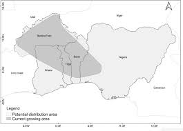 Image result for Macrotyloma maranguense